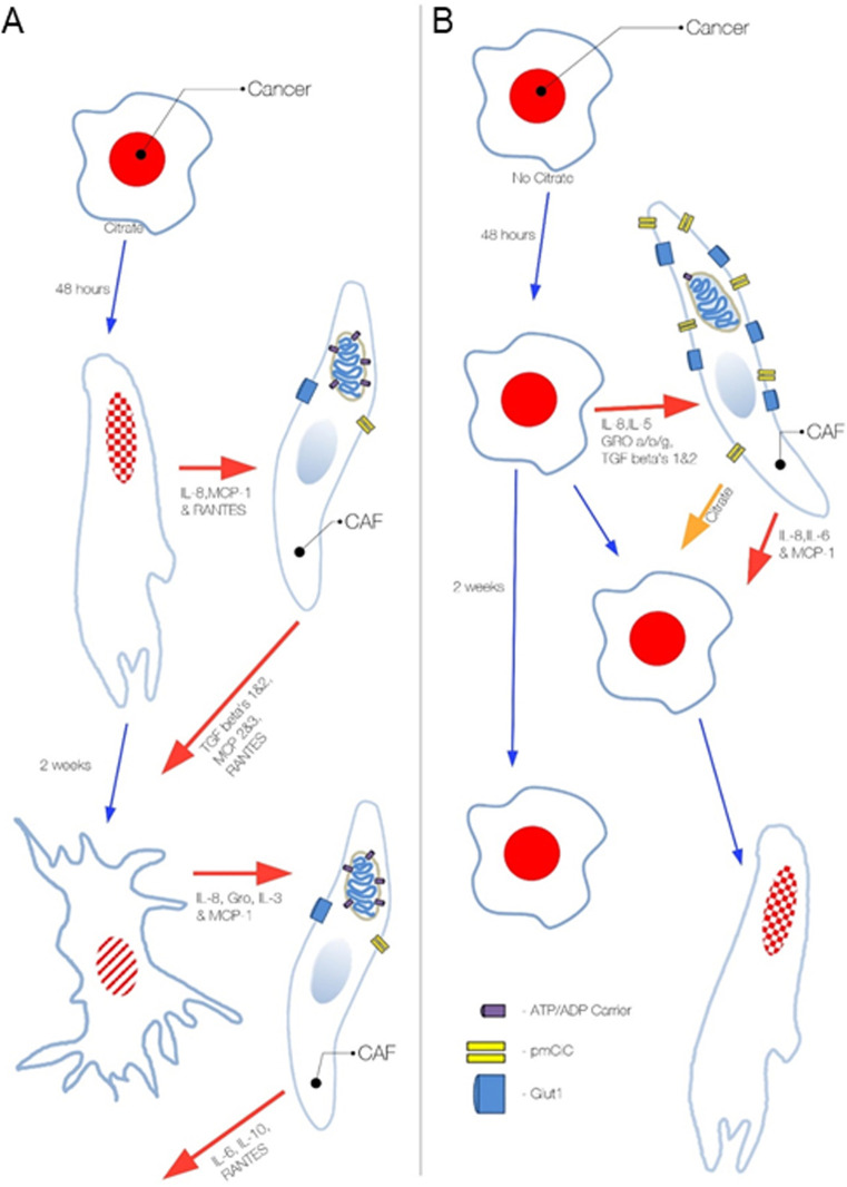 Figure S12.