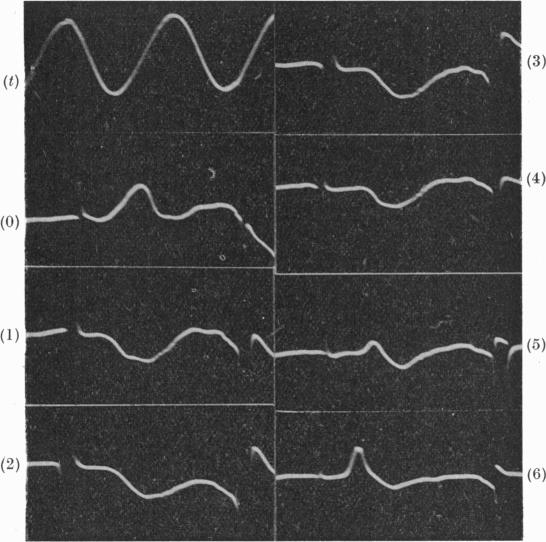 Fig. 10