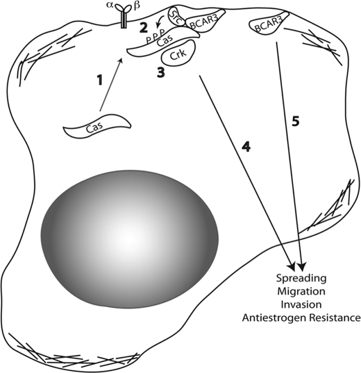 FIGURE 7.