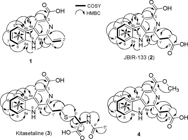 Fig. 4