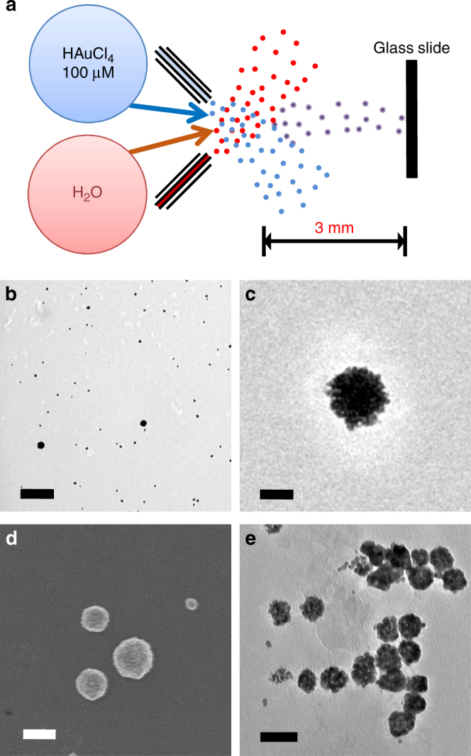 Fig. 2