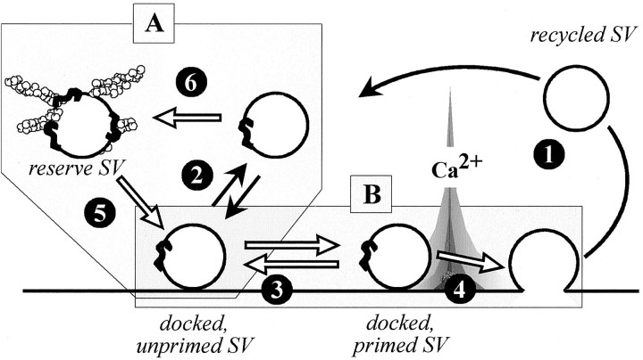 Fig. 11.