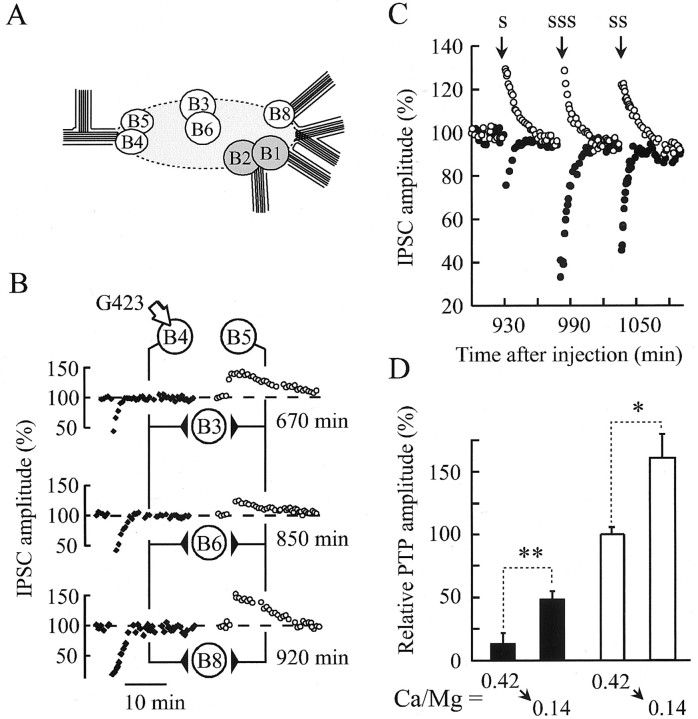 Fig. 4.