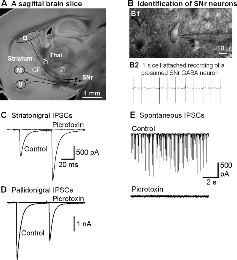 Fig. 2.