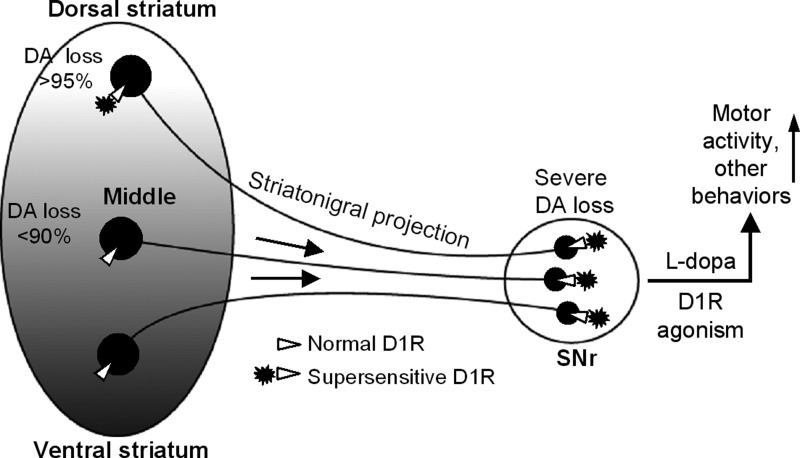 Fig. 12.