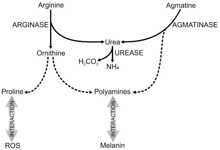 Figure 12.