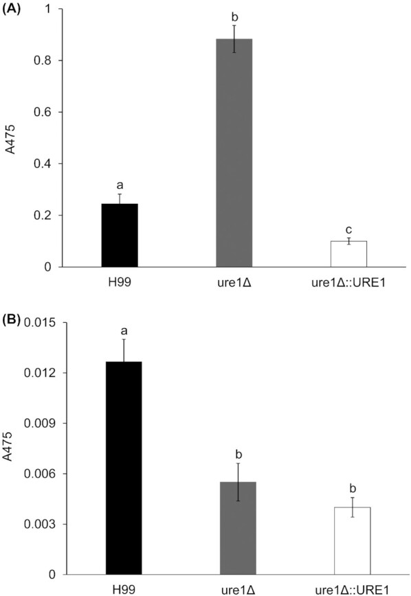 Figure 11.