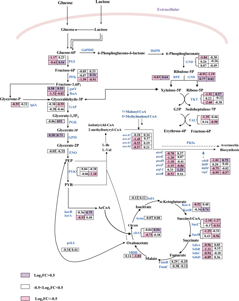 Fig. 6