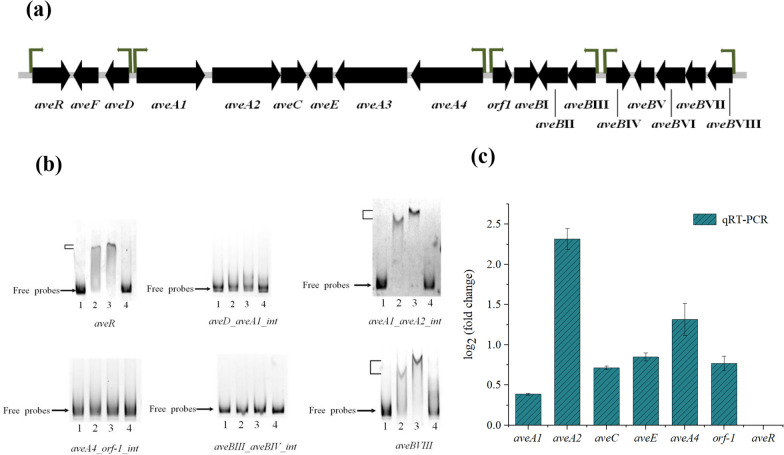 Fig. 3