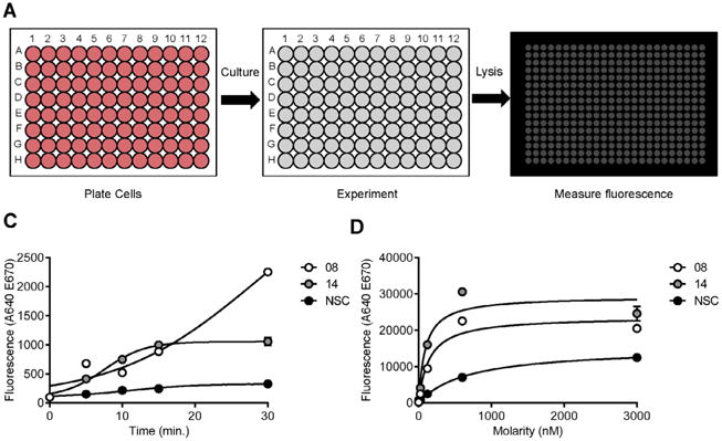 Fig. 1