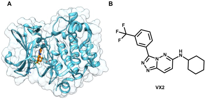 Figure 12