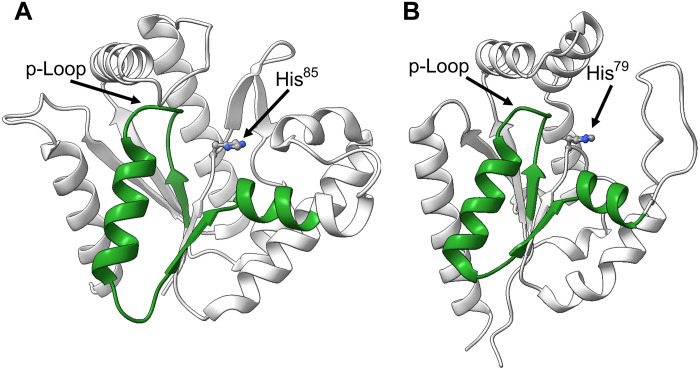 Fig. 8.