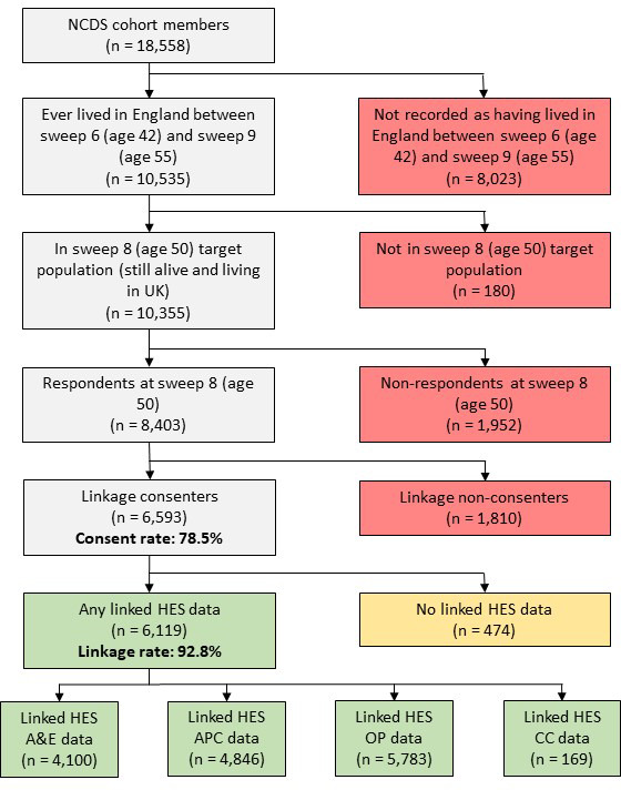 Figure 1: Flow diagram showing National Child Development Study (NCDS)-Hospital Episode Statistics (HES) data linkage and data availability