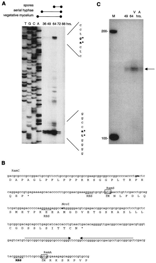 FIG.5.