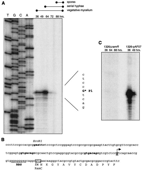 FIG. 4.