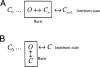 Scheme V