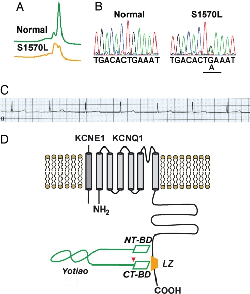 Fig. 2.