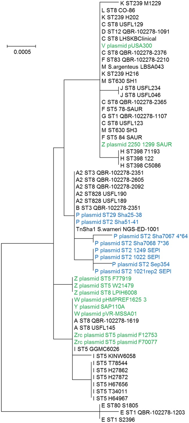 Figure 5