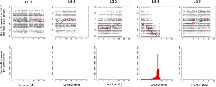 Figure 10 