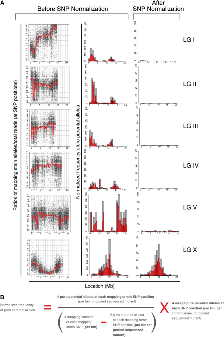 Figure 7 