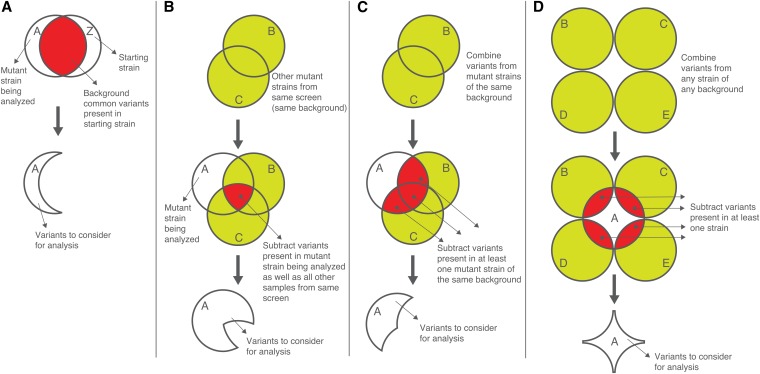 Figure 5 