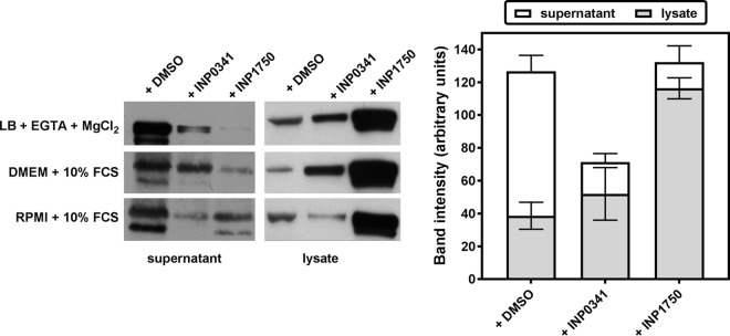 FIG 6