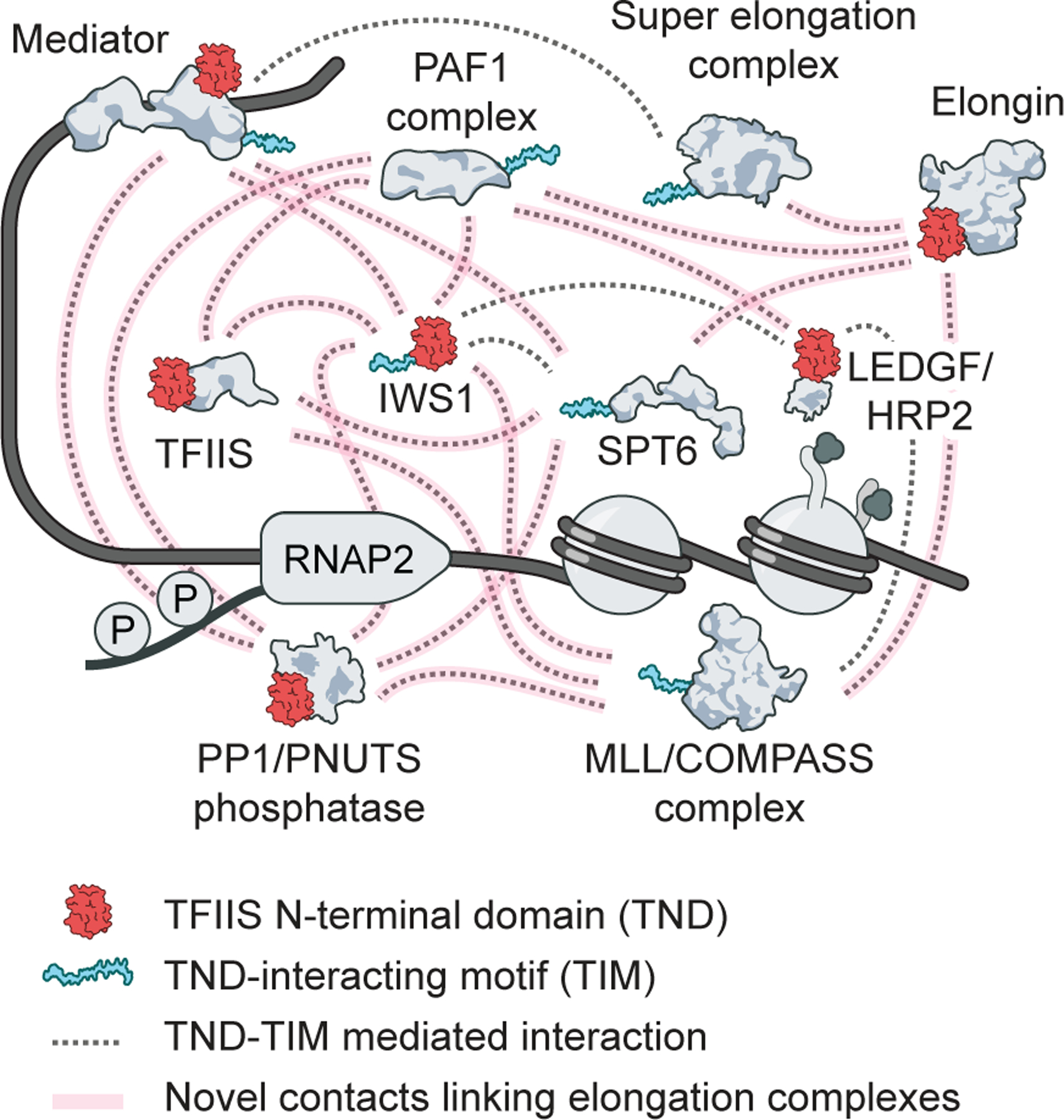 Fig. 6: