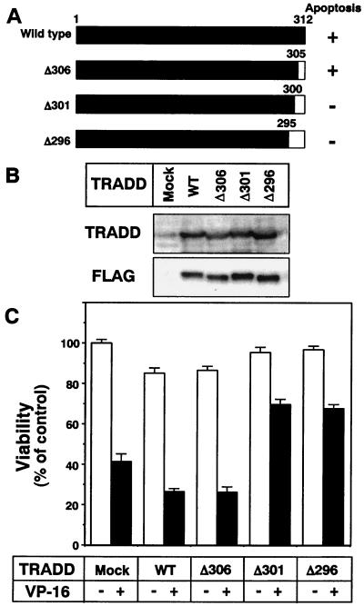 FIG. 8.