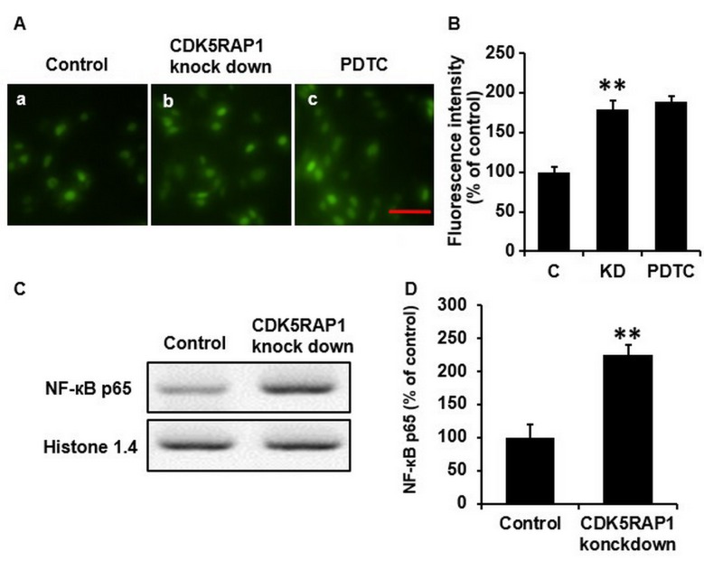 Figure 4.