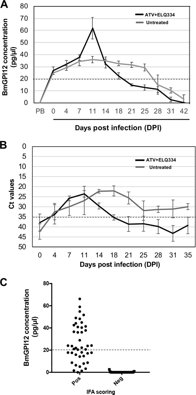 FIG 6