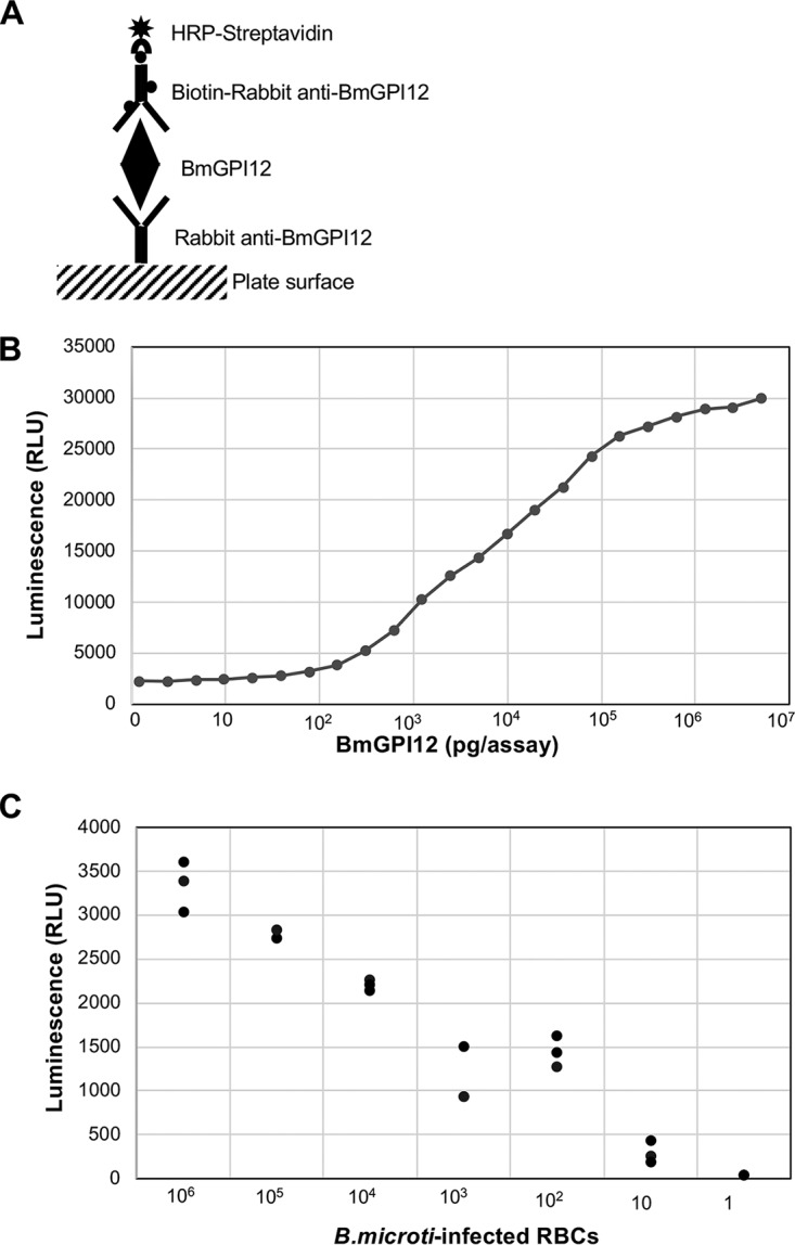 FIG 3