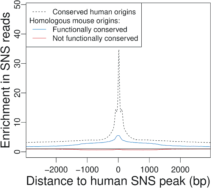 Figure 7.