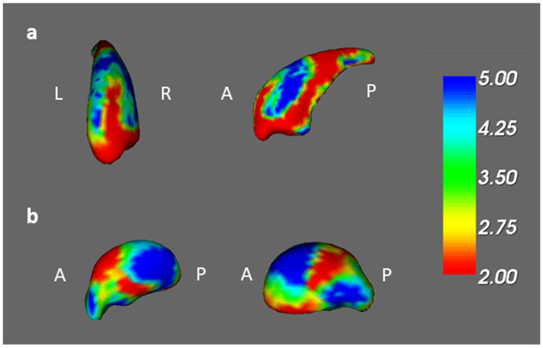 Figure 5