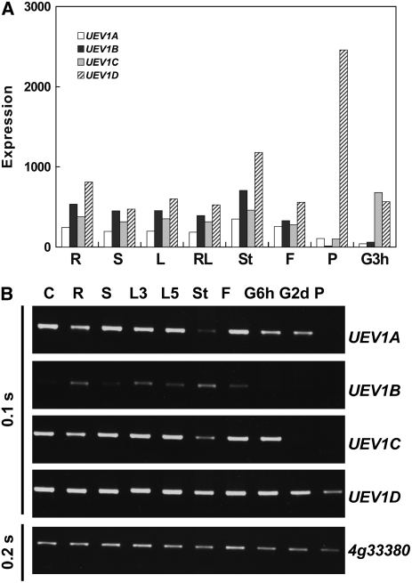 Figure 4.