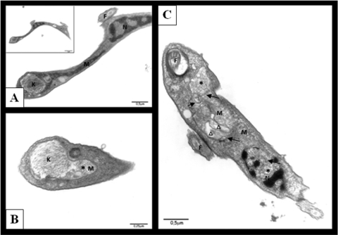 FIG. 8.