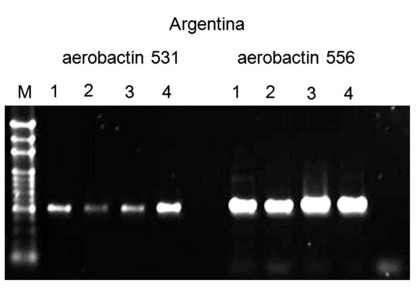 Fig. (6)