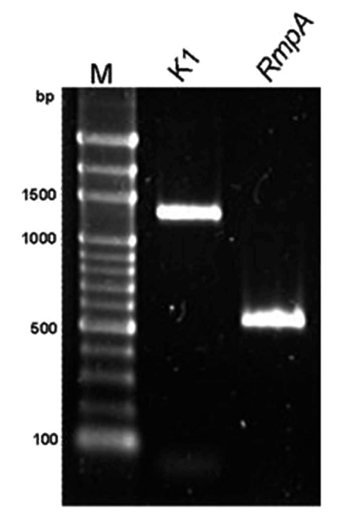 Fig. (5)