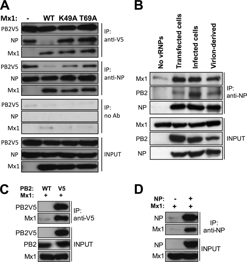 Fig 6