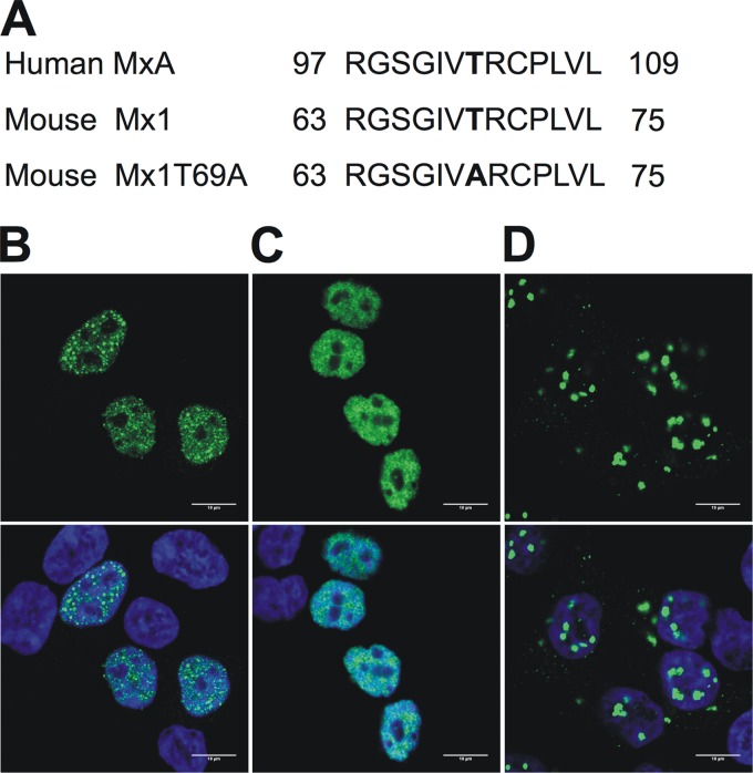 Fig 4