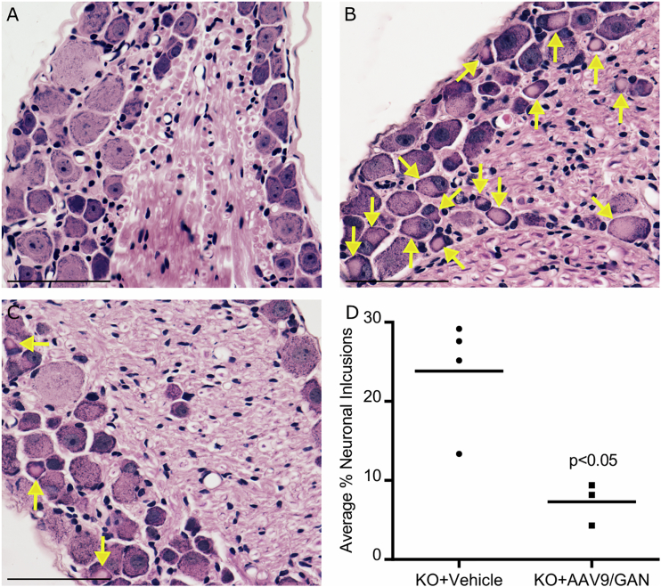 Figure 6