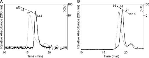 FIG. 5.