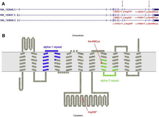 Figure 3