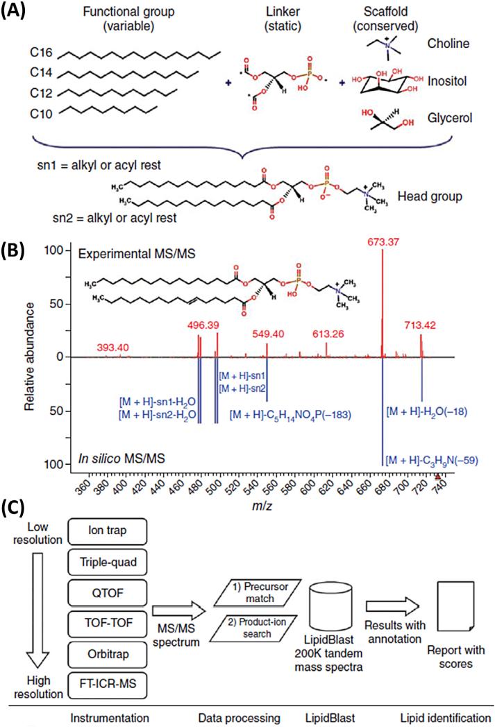 Fig. 9