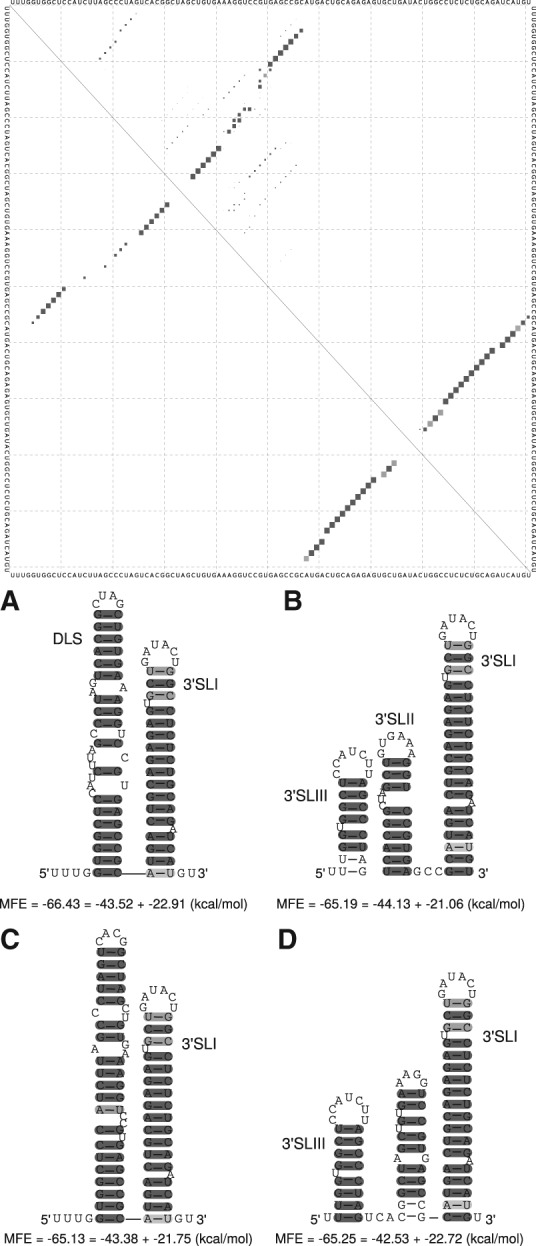 FIGURE 4.