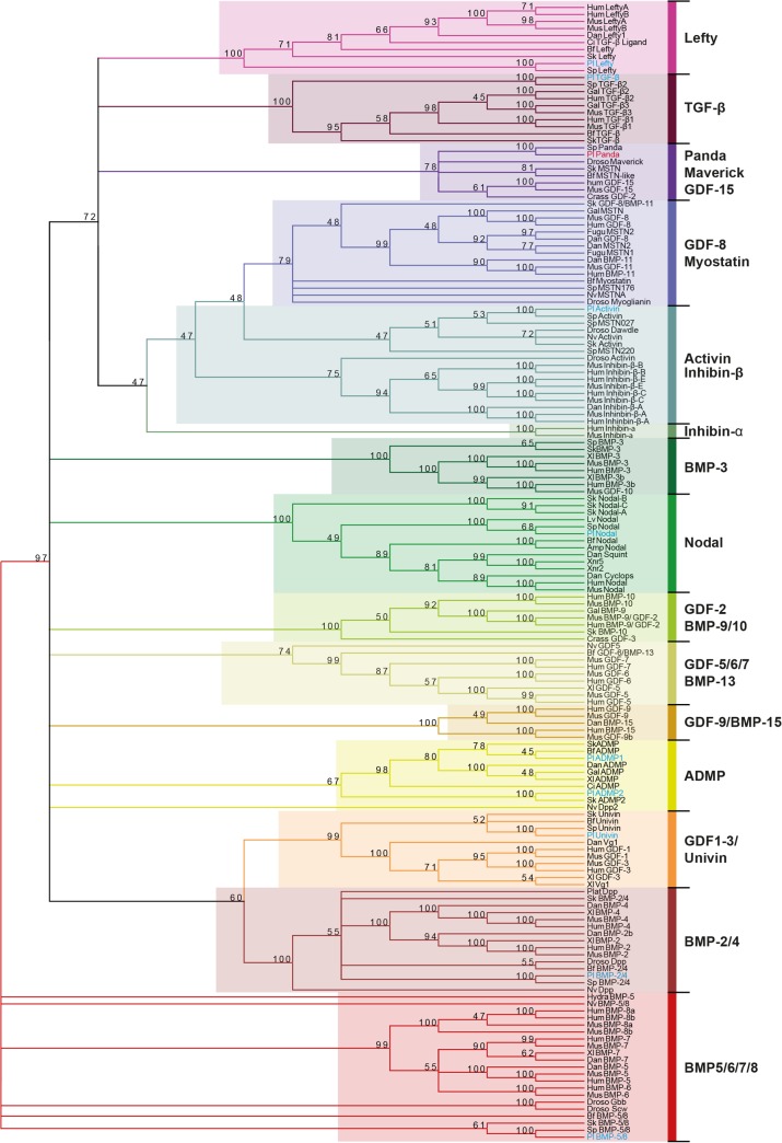 Fig 4