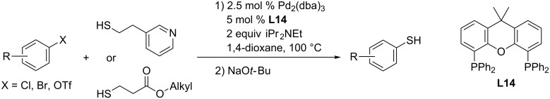 Scheme 55