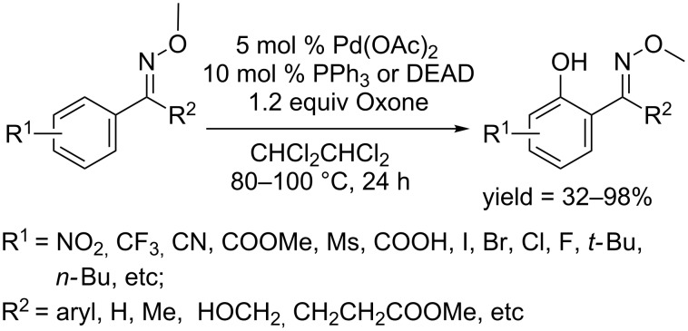 Scheme 38