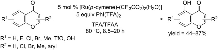 Scheme 51