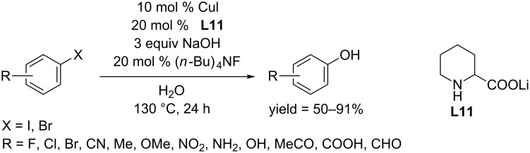 Scheme 20