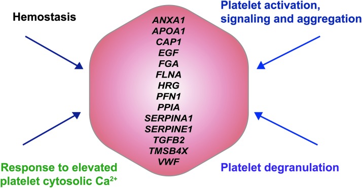 FIG. 9.